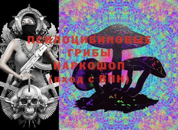 стафф Зеленокумск
