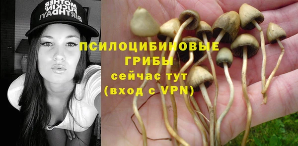 ГАЛЛЮЦИНОГЕННЫЕ ГРИБЫ Зерноград