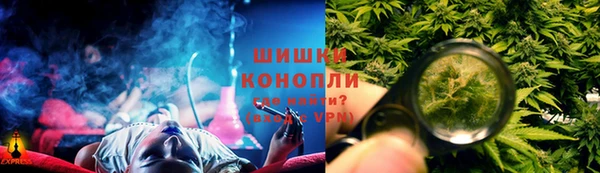 стафф Зеленокумск