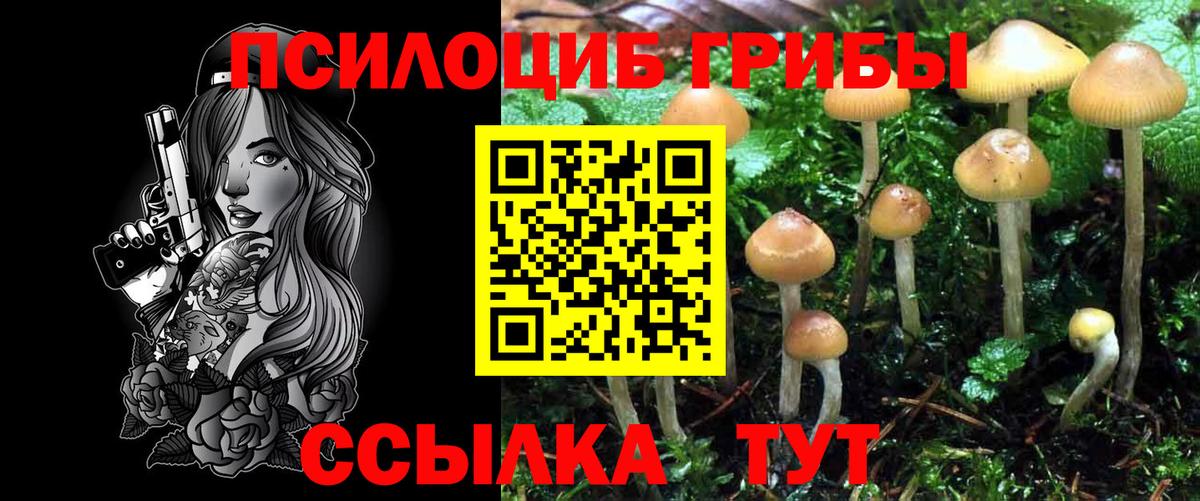Галлюциногенные грибы прущие грибы Лянтор